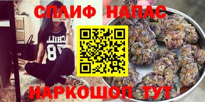 ПСИЛОЦИБИНОВЫЕ ГРИБЫ Славянск-на-Кубани