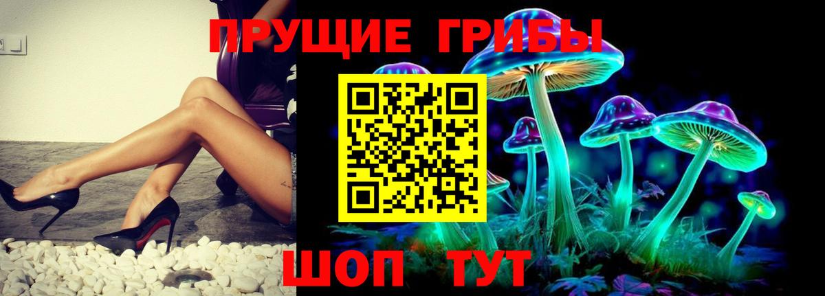 Галлюциногенные грибы мицелий  Галлюциногенные грибы Cubensis  Вход с VPN  Мценск 